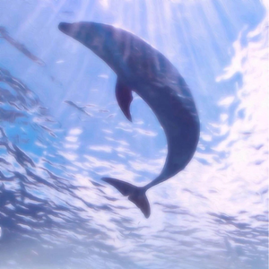 溺过水也爱过海（prod.by Furyl/4_Chords)