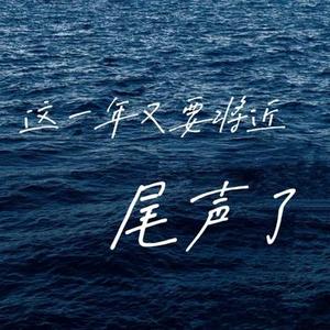 这一年又要接近尾声了