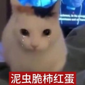 《废墟里的回声》.wav