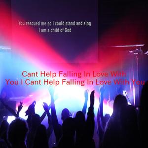 Can't Help Falling In Love With You (I Can't Help Falling In Love With You) (Instrumental version originally performed by Elvis Presley)