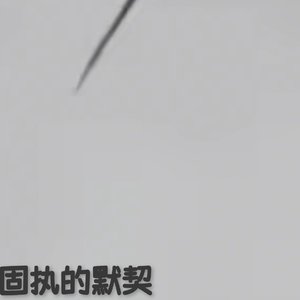 《固执的默契》