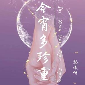 今宵多珍重（《金宵大厦》粤语主题曲）