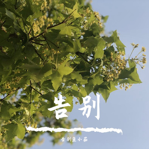 理想三旬（cover陈鸿宇）（女声烟酒版）