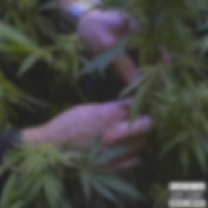 420