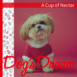 The Fast Food of the Heart