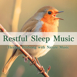 瞑想ソルフェジオ -Healing Forest- (寝落ちのピアノの森 α波→θ波→δ波)