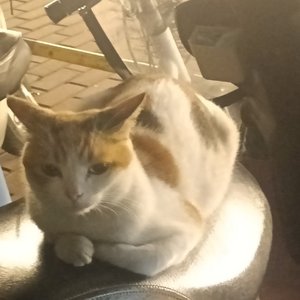 分手344天(Break up for 344 days)