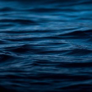 Bluesea