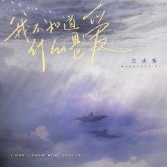 我不知道什么是爱 (抒情版)