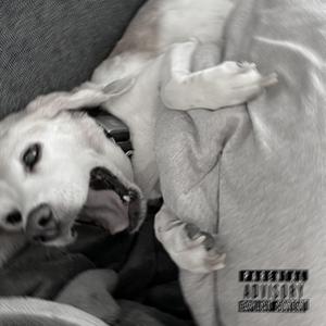 Back In Town (feat. damsKO, Melli, CPayne & Kemist)