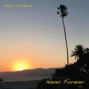 Never Forever
