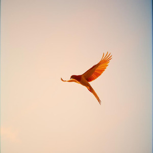 きみが壊れないうちに 逃げていいんだよ。大丈夫、大丈夫、もう我慢しなくていいよ