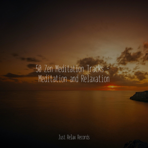 Silent Seraph's Soar