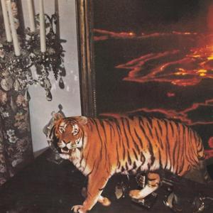 Gliding (feat. Nofuk & Zemco)