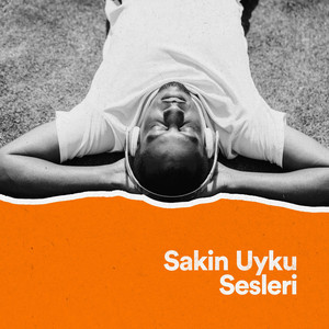 Doğal Rüya (Ambiyent)