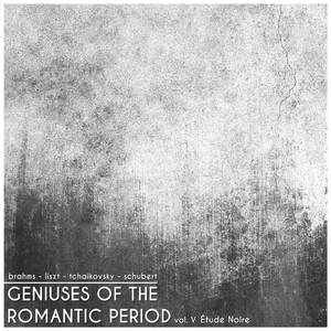 6 Moments musicaux, D. 780: No. 3 Allegro moderato