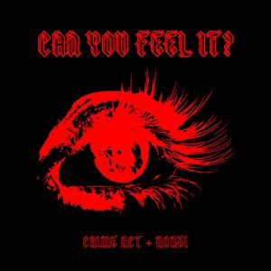 Can You Feel It (feat. Crime Act)