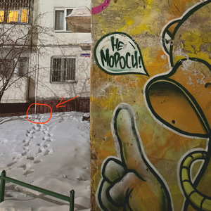 Легаси
