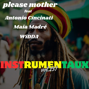 fiscalité reggae