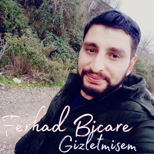 Gizletmisem