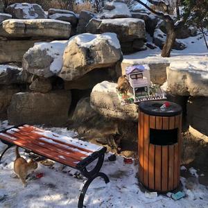 三月二十八我去找你吧