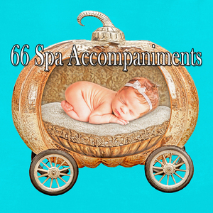 解放你的大腦去睡覺