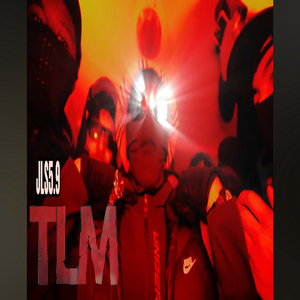 TLM