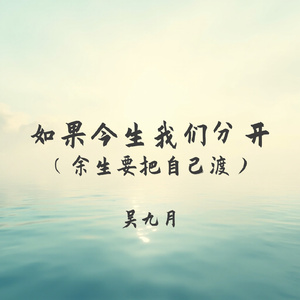 如果今生我们分开(余生要把自己渡)