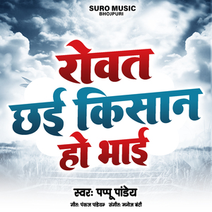 रोवत छई किसान हो भाई