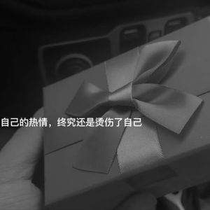 十一月，候鸟不曾停留