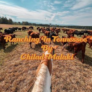 Ranching In Tennessee
