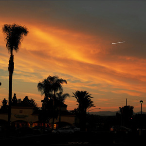 总有一天你会出现在我身边