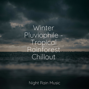 LoFi Rain in the Shed