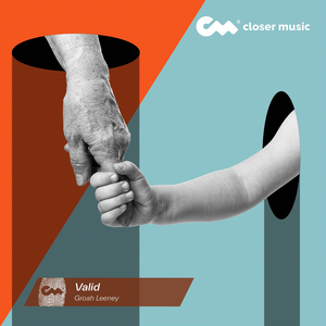 Valid (Instrumental)