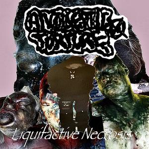 NECROTIC ENDOCARDITIS CAUSED BY GRUESOME CANNIBALISTIC ATTACKS