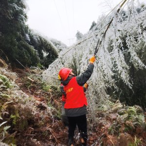 深山里的光明守护