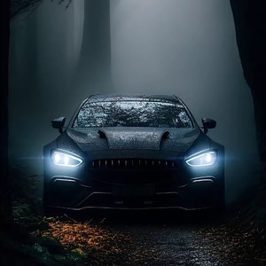 Black Frost（黑霜）