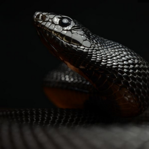 " Hard " " YSL Young Thug Wheezy Type Beat "