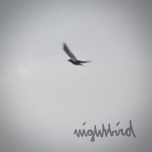Nightbird