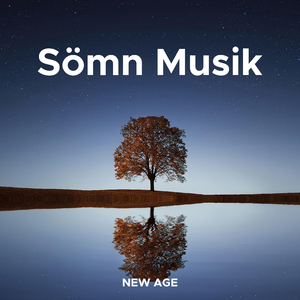 Lugn Musik Utan Sång
