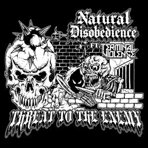 THREAT TO THE ENEMY (feat. Terminal Violence)