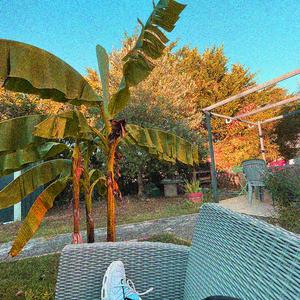 Ce soir je répondrai pas (feat. Askan)