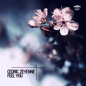 Feel You (Original Mix)