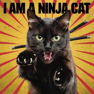 I am a Ninja Cat (Broadway Bounce)