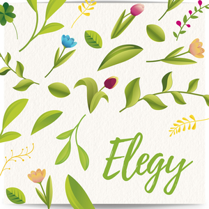 Elegy