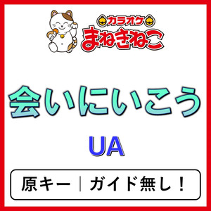 会いにいこう（カラオケ）[UA]