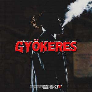 Gyökeres
