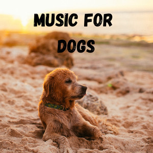 Pet Music