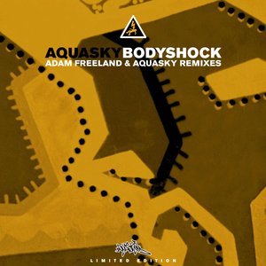 Bodyshock (Remix)