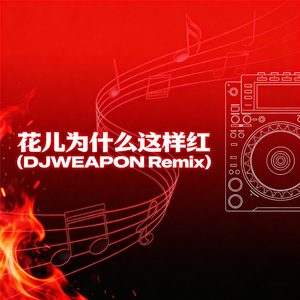 花儿为什么这样红DJ版